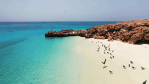 Daymaniyat Islands-Beach