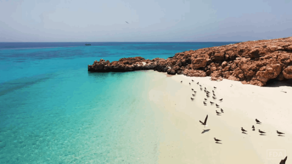 Daymaniyat Islands-Beach