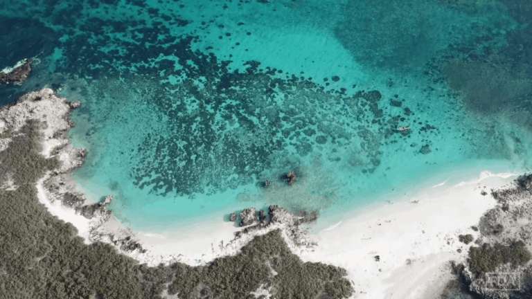 Daymaniyat Islands-Sandy Beach